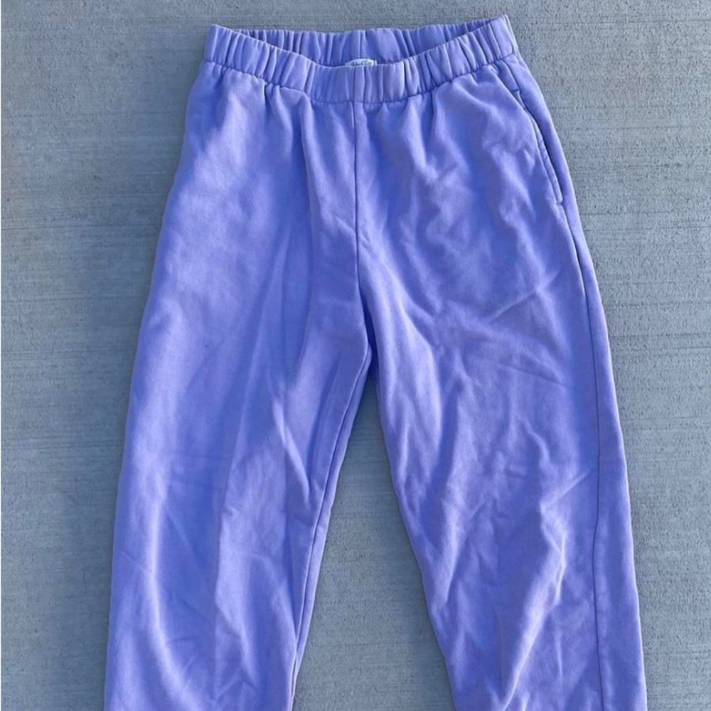 Brandy Melville Rosa Sweatpants Purple